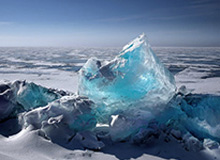 官方網站的力量：打造可信任的品牌入口