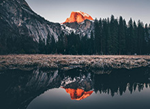 官方網站的力量：打造可信任的品牌入口